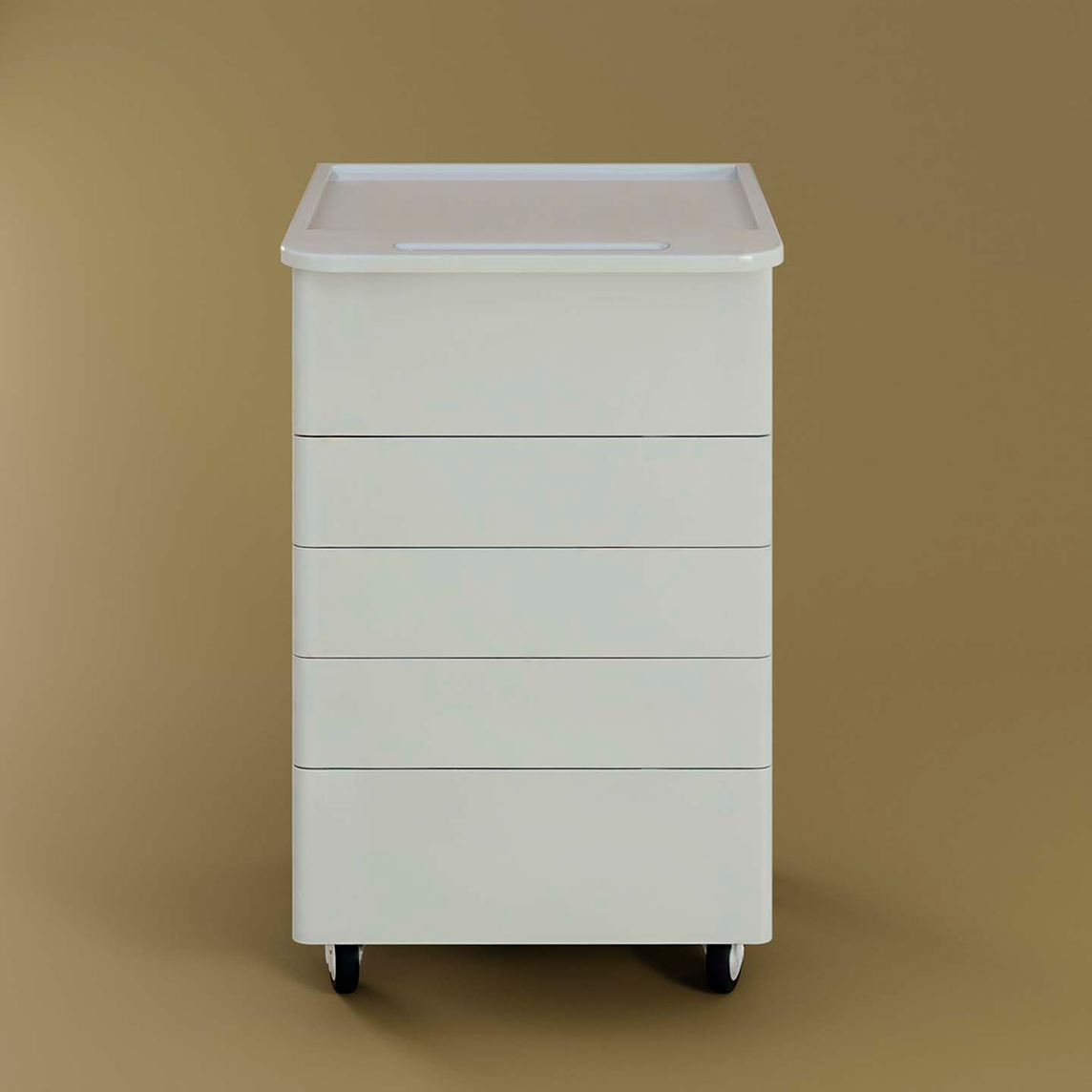 Asystor Zaokrąglony — zdjęcie 3