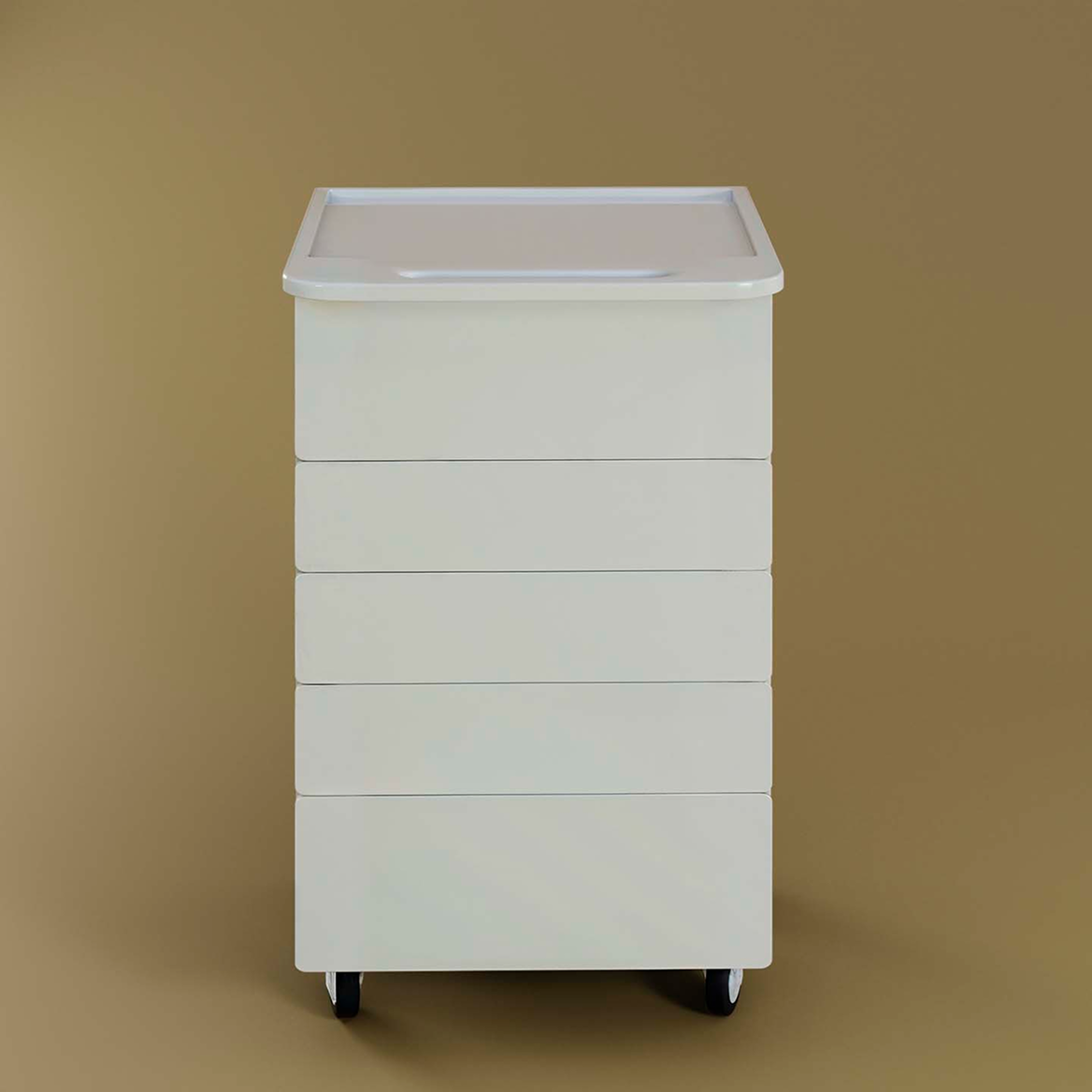 Asystor Okrągły — zdjęcie 7